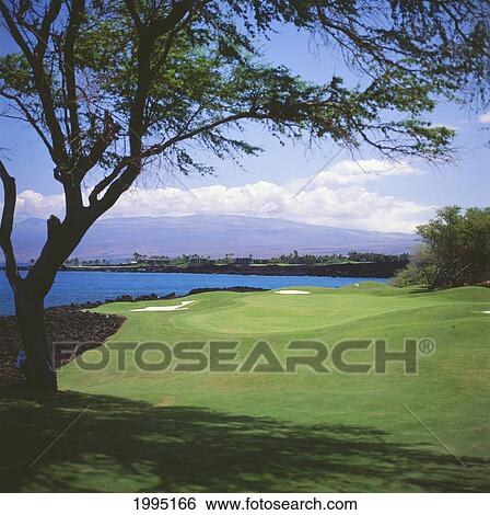 Stock Photograph - Hawaii, Big Island, Kohala Coast, Mauna Lani Resort, Francis I'i Brown Golf Course, South Course.. Fotosearch