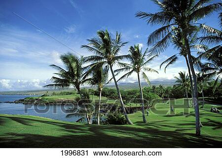 Stock Photography Of Hawaii Island Kohala Coast Mauna Kea Hawaii Island Kohala Coast Mauna Kea Beach Hotel Golf Course 3rd Hole