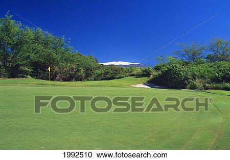 Stock Image - Hawaii, Big Island, Kohala Coast, Hapuna Golf Course, 7Th Green, Par 3.. Fotosearch