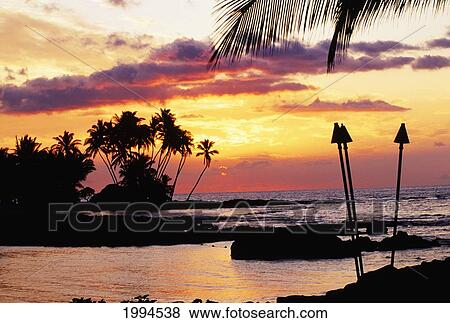 Hawaii, Big Island, Kohala, Waiulua Bay, Orange Sunset With Palm Trees And Tiki Torches. View Large Photo Image Stock Photo - Hawaii, Big Island, Kohala, Waiulua Bay, Orange Sunset With Palm Trees And Tiki Torches.. Fotosearch