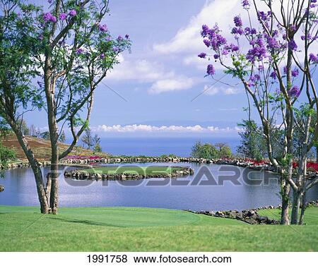 Stock Photo - Hawaii, Big Island, Kona, Big Island Country Club, 17Th Hole In Middle Of Water Hazard, Ocean In Background. Fotosearch