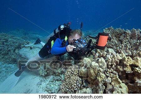Stock Image - Hawaii, Big Island, Kona Coast, Diver Photographraphs Reef With An Slr Camera In An Ikelite Underwater Housing With A Strobe.. Fotosearch