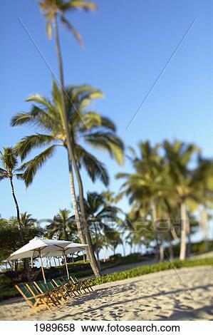 Stock Photo - Hawaii, Big Island, Kona Coast, Kukio Beach, Beach Chairs And Umbrellas Line The Shore.. Fotosearch