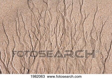Stock Image - Hawaii, Big Island, Kona Coast, close-up of sand patterns. Fotosearch