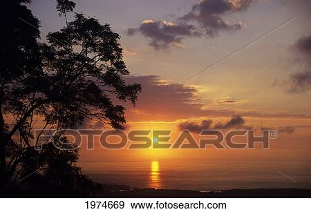 Stock Photo - Hawaii, Big Island, Kona Coast, Sunset Over Ocean, Silhouetted Tree In Foreground.. Fotosearch
