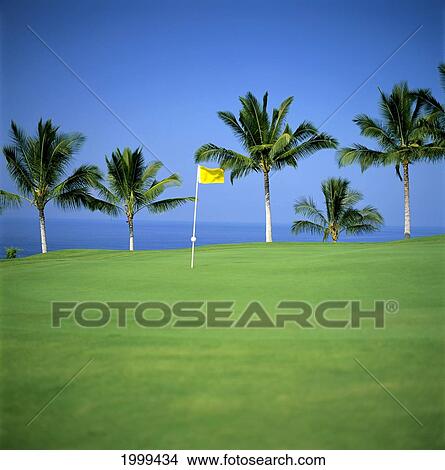 Picture - Hawaii, Big Island, Kona Country Club, Ocean Front Course, Flag With Palms And Ocean Background C1256. Fotosearch