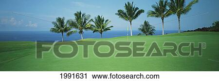 Stock Image - Hawaii, Big Island, Kona Country Club, Mauka Front Hole#2, Panoramic. Fotosearch