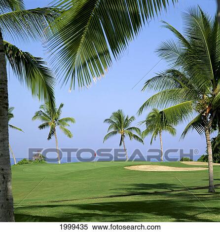 Stock Photography - Hawaii, Big Island, Kona Country Club, Ocean Back Course 12Th Hole With Flag, Palms And Ocean C1293. Fotosearch