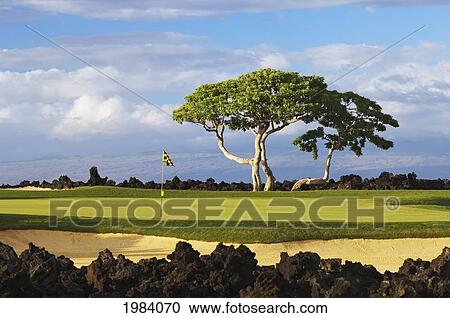 Stock Image - Hawaii, Big Island, Kona, Four Seasons Golf Course And Resort Hualalai.. Fotosearch