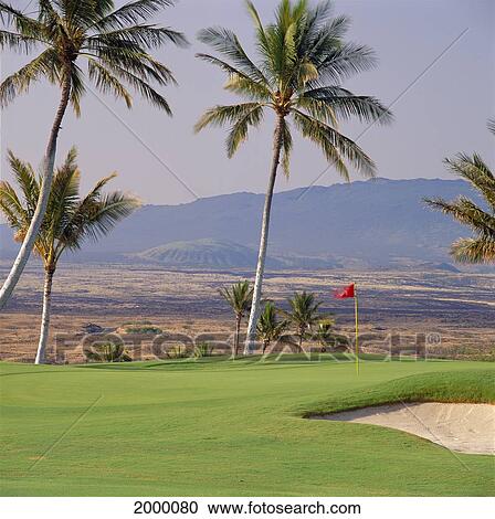 Stock Image - Hawaii, Big Island, Mauna Kea Beach Resort Golf Course Red Flag In Hole, Palms Mountain Background Overcast Vog Day D1302. Fotosearch