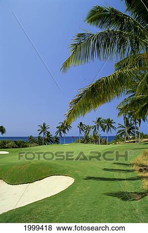 Hawaii, Big Island, Mauna Kea Resort Golf Course, 9Th Hole With Red Flag, Palm Trees Near Ocean C1282 View Large Photo Image Stock Photo - Hawaii, Big Island, Mauna Kea Resort Golf Course, 9Th Hole With Red Flag, Palm Trees Near Ocean C1282. Fotosearch