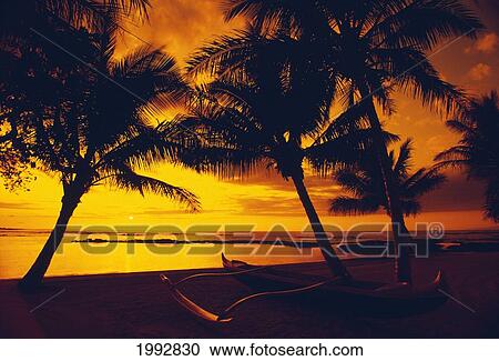 Hawaii, Big Island, Mauna Lani Beach Hotel, Ocean Sunset, Outrigger Canoe Resting On A Tropical Beach. View Large Photo Image Stock Image - Hawaii, Big Island, Mauna Lani Beach Hotel, Ocean Sunset, Outrigger Canoe Resting On A Tropical Beach.. Fotosearch