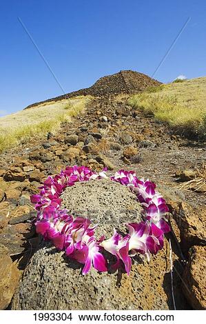 Picture - Hawaii, Big Island, North Kohala, Kawaihae, Mailekini Heiau, Orchid Lei In Foreground.. Fotosearch