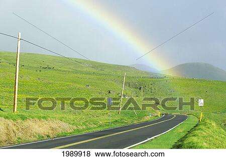 Stock Photo - Hawaii, Big Island, North Kohala, Parker Ranch, Rainbow Over Kohala Mountain Road. Fotosearch