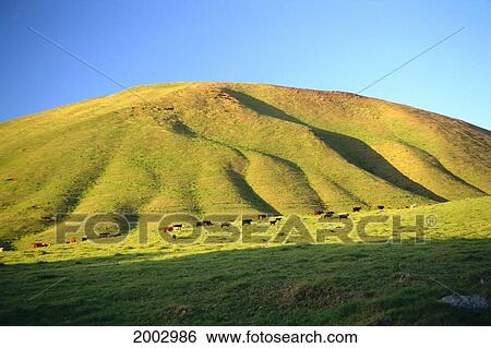 Hawaii, Big Island, North Kohala Mountain, Cinder Cone View Large Photo Image Stock Photograph - Hawaii, Big Island, North Kohala Mountain, Cinder Cone. Fotosearch
