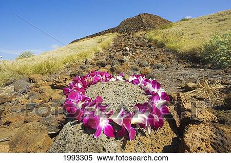 Stock Photography - Hawaii, Big Island, North Kohala, Kawaihae, Mailekini Heiau, Orchid Lei In Foreground.. Fotosearch