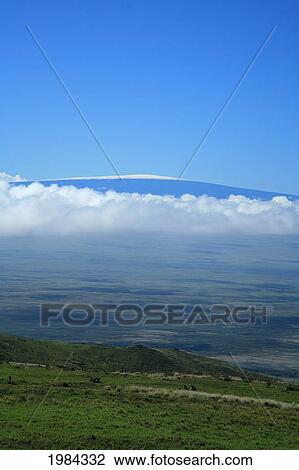 Hawaii, Big Island, North Kohala, View Of Mauna Kea From Green Hillside. View Large Photo Image Stock Image - Hawaii, Big Island, North Kohala, View Of Mauna Kea From Green Hillside.. Fotosearch