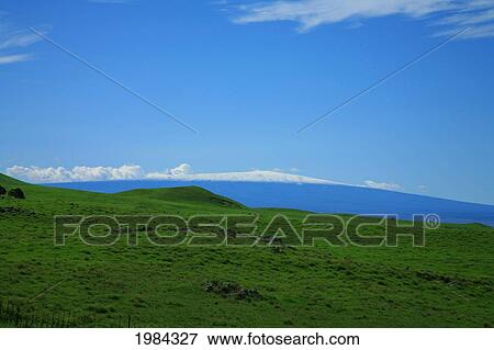 Stock Photo - Hawaii, Big Island, North Kohala, View Of Mauna Kea From Green Hillside.. Fotosearch