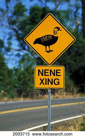 Stock Photography - Hawaii, Big Island, North Kona, Mamalahoa Highway, Nene Crossing Road Sign. Fotosearch