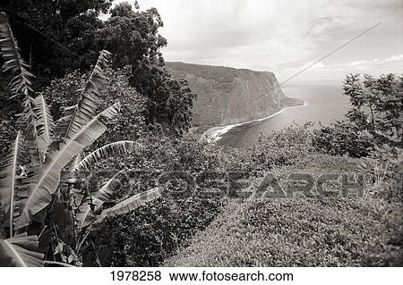 Stock Photo - Hawaii, Big Island, Over View Of Waipio Valley And Ocean Beyond (Sepia Photograph).. Fotosearch