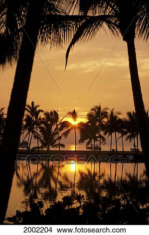 Hawaii, Big Island, Pale Orange Sunset Sky With Many Palm Trees, Calm Lagoon With Reflections View Large Photo Image Picture - Hawaii, Big Island, Pale Orange Sunset Sky With Many Palm Trees, Calm Lagoon With Reflections. Fotosearch