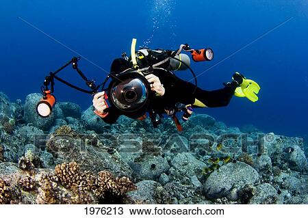 Hawaii, Big Island, Photographer Diver Swims Along Ocean Floor; Kona Coast View Large Photo Image Stock Image - Hawaii, Big Island, Photographer Diver Swims Along Ocean Floor; Kona Coast. Fotosearch