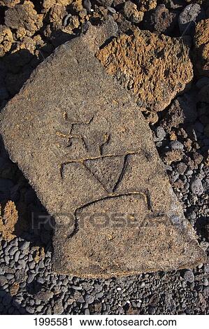 Stock Image - Hawaii, Big Island, Puako Petroglyphs, Closeup Of Carving On Single Rock. Fotosearch