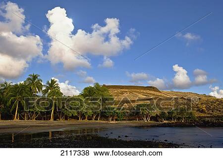 Stock Photo - Hawaii, Big Island, Pu'ukohola Heiau National Park, Scenic view of land, ocean and palm trees.. Fotosearch