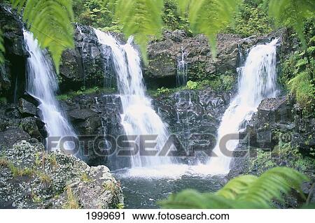 Hawaii, Big Island, Rainforest Waterfalls, Three Waterfalls Feeds Into One Pool View Large Photo Image Stock Image - Hawaii, Big Island, Rainforest Waterfalls, Three Waterfalls Feeds Into One Pool. Fotosearch