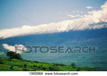 Stock Photo - Hawaii, Big Island, Slope Of Mauna Kea From Kohala Mountain Road.. Fotosearch