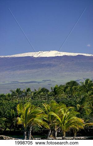 Hawaii, Big Island, Snowcapped Mauna Kea, Palm Trees From Kohala Coast B1548 View Large Photo Image Stock Photography - Hawaii, Big Island, Snowcapped Mauna Kea, Palm Trees From Kohala Coast B1548. Fotosearch