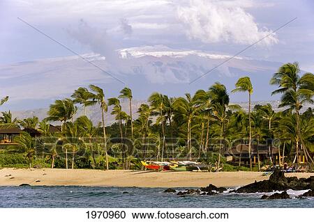 Hawaii, Big Island, South Kohala, Kuki'o Bay Beach With Mauna Kea Volcano In The Beackground View Large Photo Image Stock Image - Hawaii, Big Island, South Kohala, Kuki'o Bay Beach With Mauna Kea Volcano In The Beackground. Fotosearch