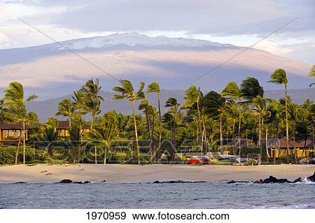 Stock Photo - Hawaii, Big Island, South Kohala, Kuki'o Bay Beach With Mauna Kea Volcano In The Beackground. Fotosearch
