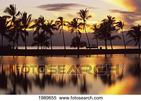 Stock Photography - Hawaii, Big Island, South Kohala, Anaeho'omalu Bay, Sunset And Coconut Palms. Fotosearch