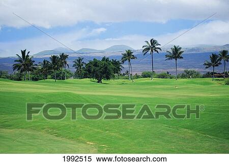 Hawaii, Big Island, South Kohala, Hapuna Prince Golf Course, Overview Of The Green. View Large Photo Image Stock Photography - Hawaii, Big Island, South Kohala, Hapuna Prince Golf Course, Overview Of The Green.. Fotosearch