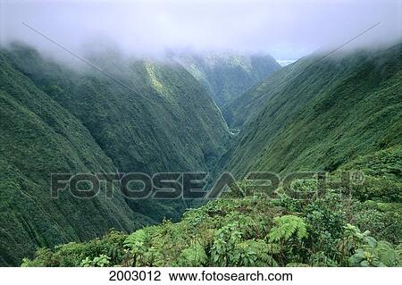 Stock Image - Hawaii, Big Island, View Of Lush Waipio Valley, Ferns, Waterfalls, Clouds. Fotosearch