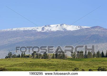 Stock Photography - Hawaii, Big Island, View Of Snow Covered Mauna Kea From Saddle Road.. Fotosearch