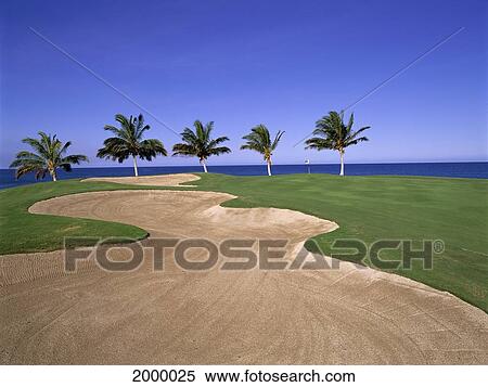 Stock Photography - Hawaii, Big Island, Waikoloa Golf Club Beach Course Sand Traps Blue Sky Palms D1294. Fotosearch