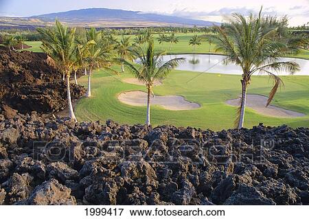 Stock Photo - Hawaii, Big Island, Waikoloa Golf Course, Beach Course, 4Th Hole, Mauna Kea Background, Lava Foreground C1284. Fotosearch