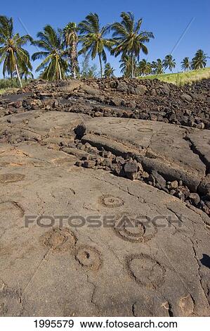 Stock Photo - Hawaii, Big Island, Waikoloa Petroglyph Field, Palm Trees In Background. Fotosearch