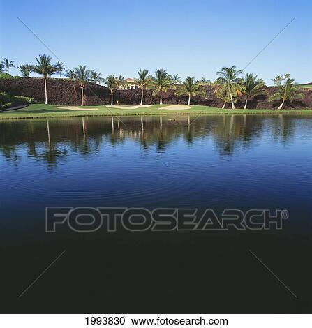 Hawaii, Big Island, Waikoloa Resort Golf Course, Beach Course, Reflection Of Golf Course On Lake. View Large Photo Image Stock Image - Hawaii, Big Island, Waikoloa Resort Golf Course, Beach Course, Reflection Of Golf Course On Lake.. Fotosearch