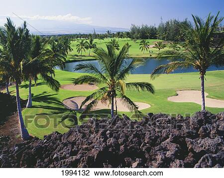 Stock Image - Hawaii, Big Island, Waikoloa Resort, Beach Course.. Fotosearch