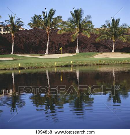 Hawaii, Big Island, Waikoloa Resort Golf Course, Beach Course, Reflection Of Golf Course On Lake. View Large Photo Image Stock Photo - Hawaii, Big Island, Waikoloa Resort Golf Course, Beach Course, Reflection Of Golf Course On Lake.. Fotosearch