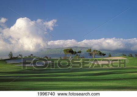 Stock Image - Hawaii, Big Island, Waikoloa Village Golf Course 5Th Hole With Sand Traps, Shadows, Blue Sky. Fotosearch