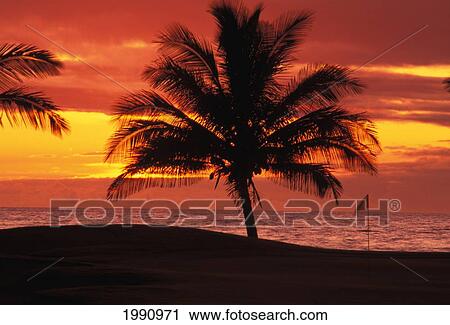 Stock Image - Hawaii, Big Island, Waikoloa, Waikoloa Resort, Beach Golf Club. Fotosearch