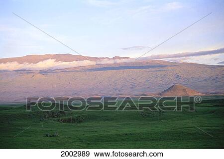 Hawaii, Big Island, Waimea, Pasture In Foreground Of Mauna Kea, Mountain Highlighted In Afternoon, Layer Of Cloud With Shadow View Large Photo Image Stock Photo - Hawaii, Big Island, Waimea, Pasture In Foreground Of Mauna Kea, Mountain Highlighted In Afternoon, Layer Of Cloud With Shadow. Fotosearch
