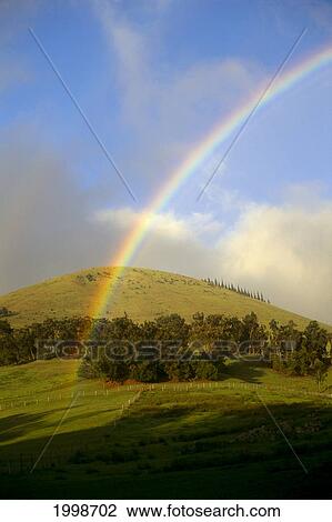 Stock Image - Hawaii, Big Island, Waimea, Rainbow Over Pastures B1448. Fotosearch