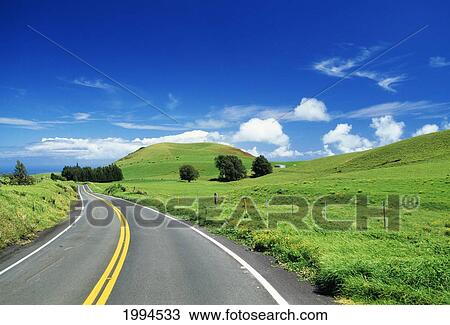 Hawaii, Big Island, Waimea Ranch Land, Road Curving Through Lush Pasture. View Large Photo Image Stock Image - Hawaii, Big Island, Waimea Ranch Land, Road Curving Through Lush Pasture.. Fotosearch