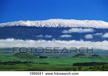 Stock Image - Hawaii, Big Island, Waimea, View Of Snowcapped Mauna Kea From Lush Valley.. Fotosearch