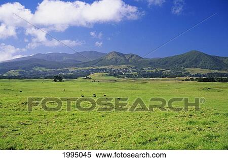 Stock Photography - Hawaii, Big Island, Waimea, View Of Kohala Mountain From Mana Road.. Fotosearch